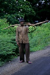 Agriculture;-Bananas;-Carrying;-Comoros-Archipelago;-Daily-life;-France;-Indian-Ocean;-Kaleidos;-Kaleidos-images;-La-parole-à-limage;-Laurent-Abad;-Man;-Mayotte;-Stories-Pictures;-Work